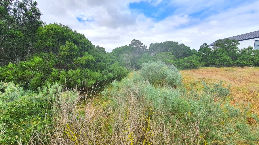 0 Bedroom Property for Sale in Shelley Point Western Cape